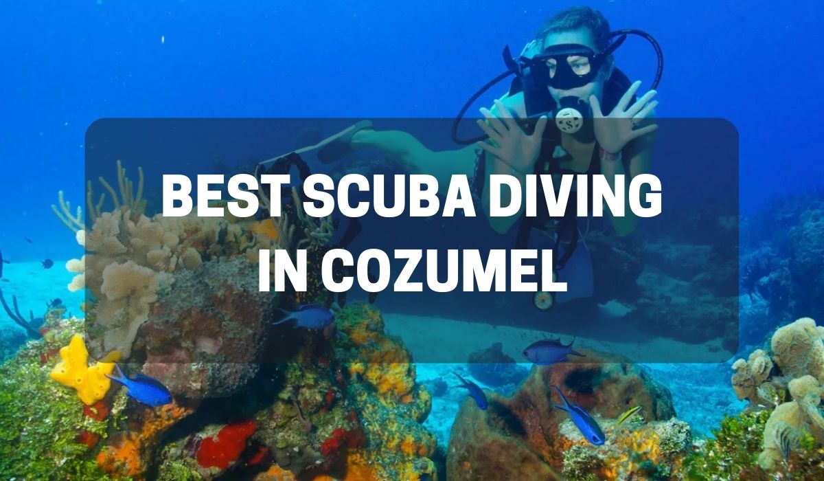 Best Scuba Diving In Cozumel Dive Into Adventure