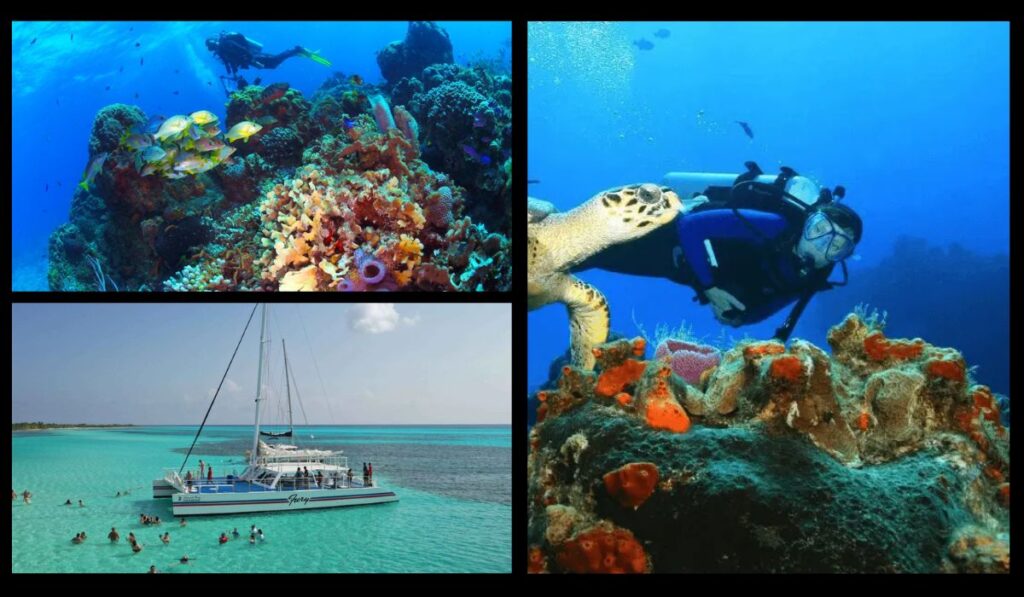Attractions Palancar Reef Cozumel