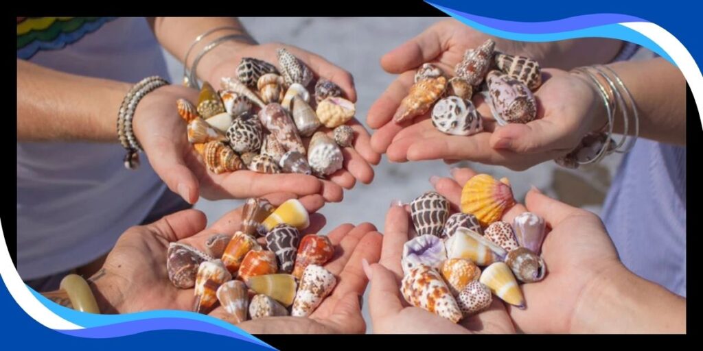 Beachcombing and Shell Collecting in Punta Morena Beach cozumel