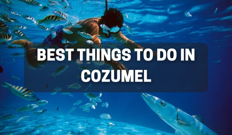 Best Things to Do in Cozumel