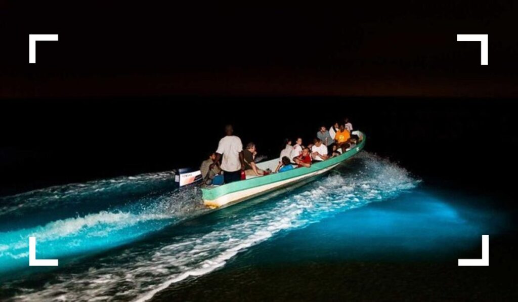 Bioluminescence Tour best things to do in cozumel for a day