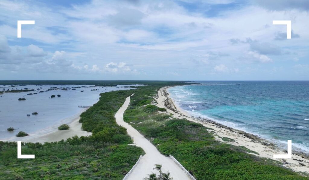 Coastal Roads view best things to do in cozumel for a day