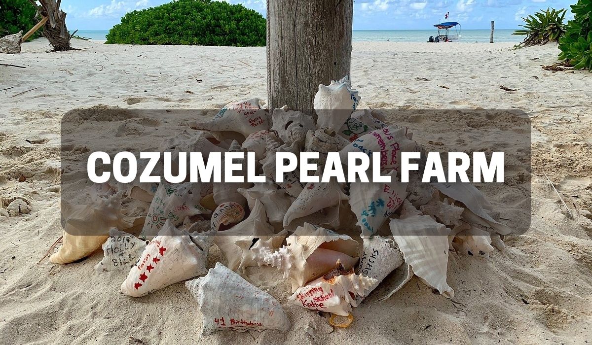 Cozumel Pearl Farm tour