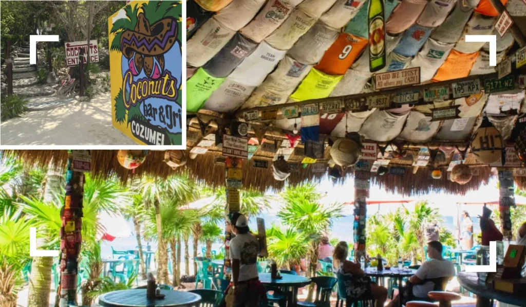 Discover Coconuts Bar & Grill things to do in cozumel