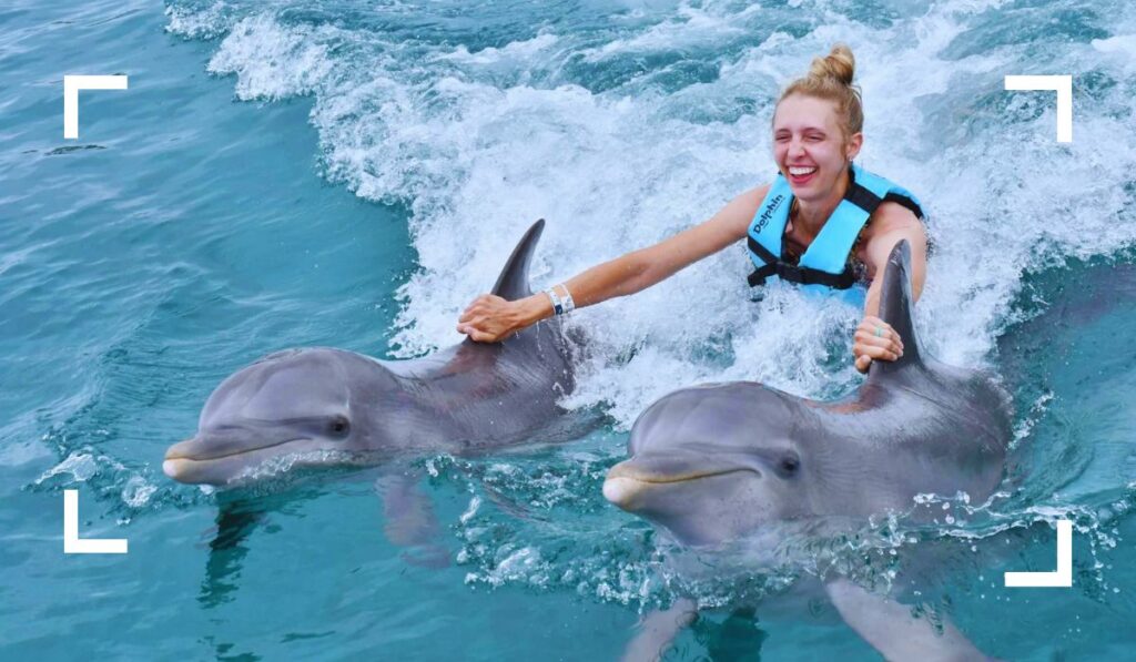 Dolphin Discovery in Cozumel Family Friendly Things to Do