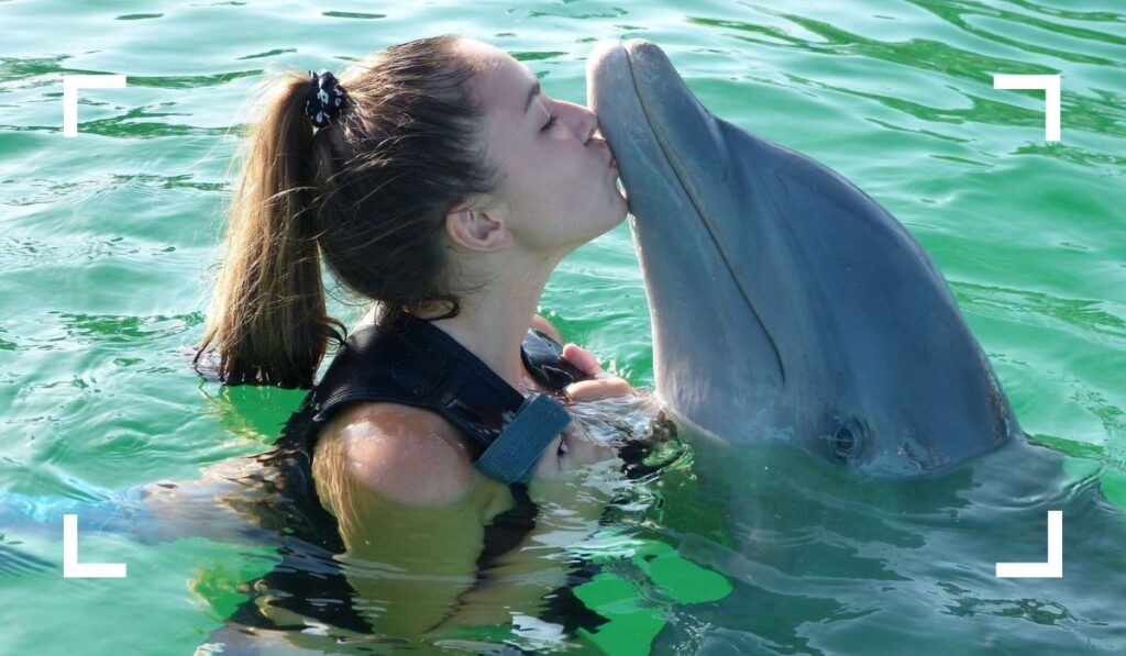 Dolphin Encounter best things to do in cozumel for a day