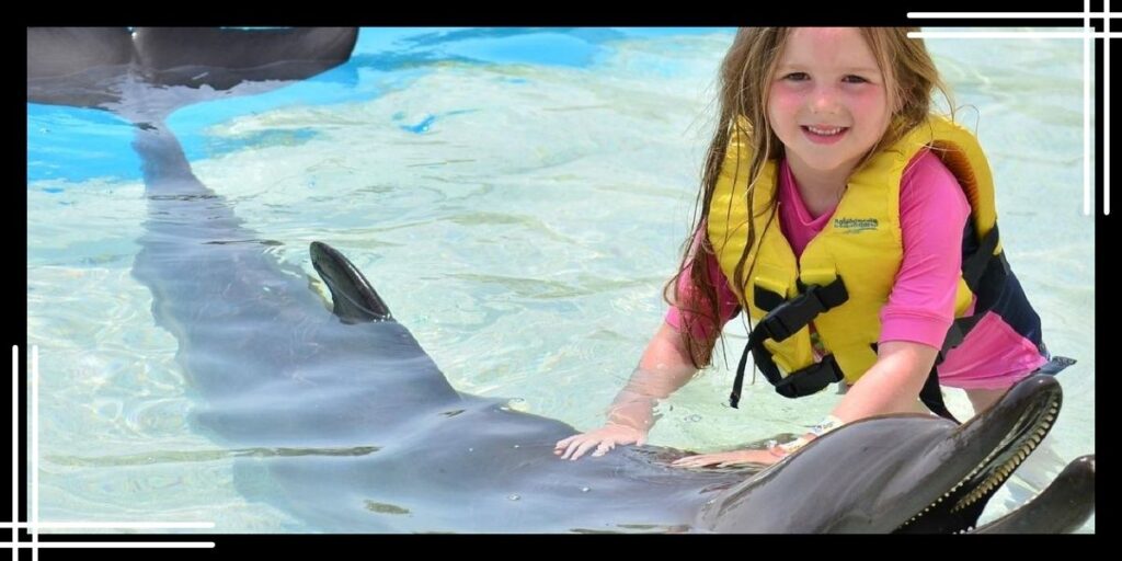 Dolphin Photo Session in Dolphinaris Cozumel