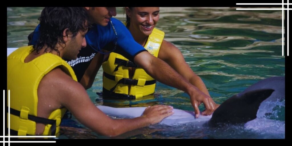 Dolphin Trainer for a Day in Dolphinaris Cozumel