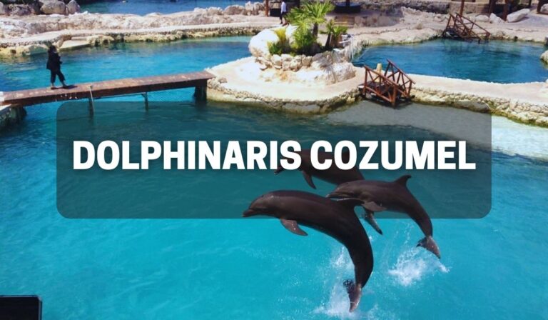 Dolphinaris Cozumel