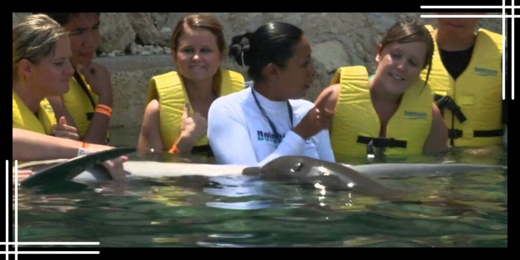 Educational Presentations in Dolphinaris Cozumel