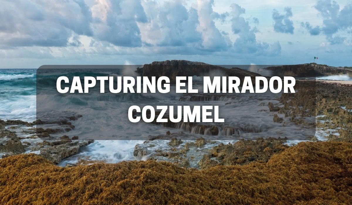 El Mirador Cozumel tours