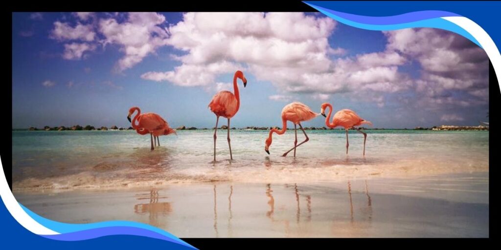 Flamingo Lagoon in Punta Sur Eco Beach Park