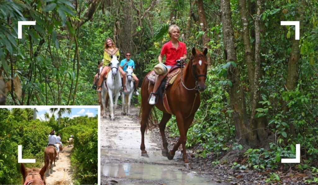 Horseback Riding - Best Things to Do in Cozumel for wildlife encounter