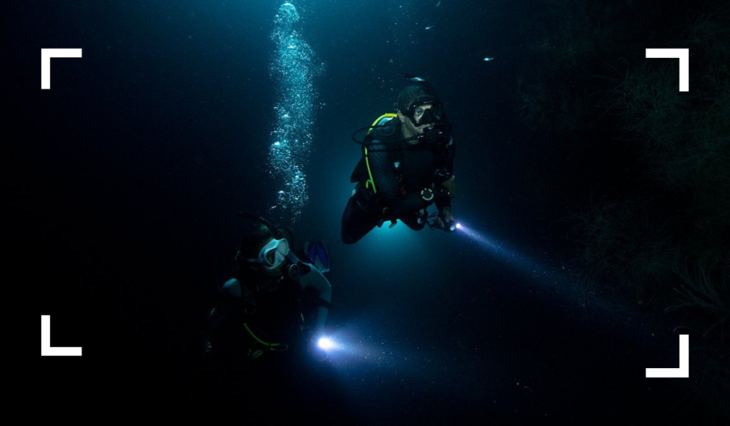 Night Diving things to do in cozumel