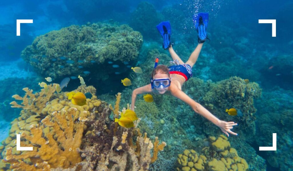 Palancar Reef Snorkeling best things to do in cozumel for a day