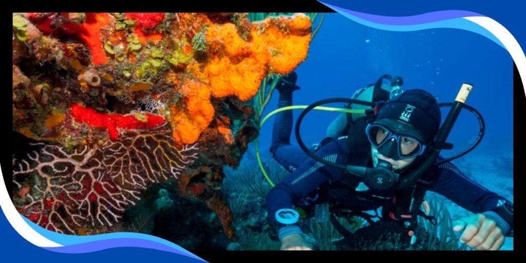 Scuba Diving Palancar Reef Cozumel