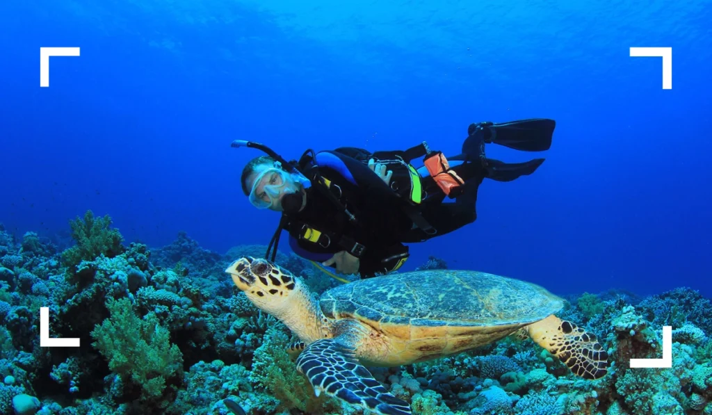 Scuba Diving things to do in cozumel