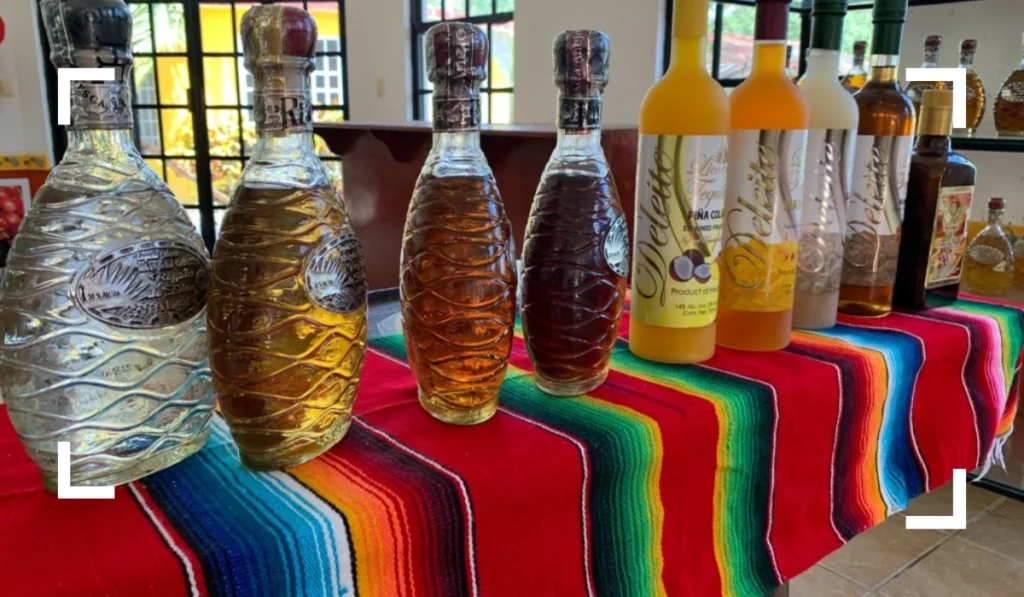 Tequila Tasting things to do in cozumel