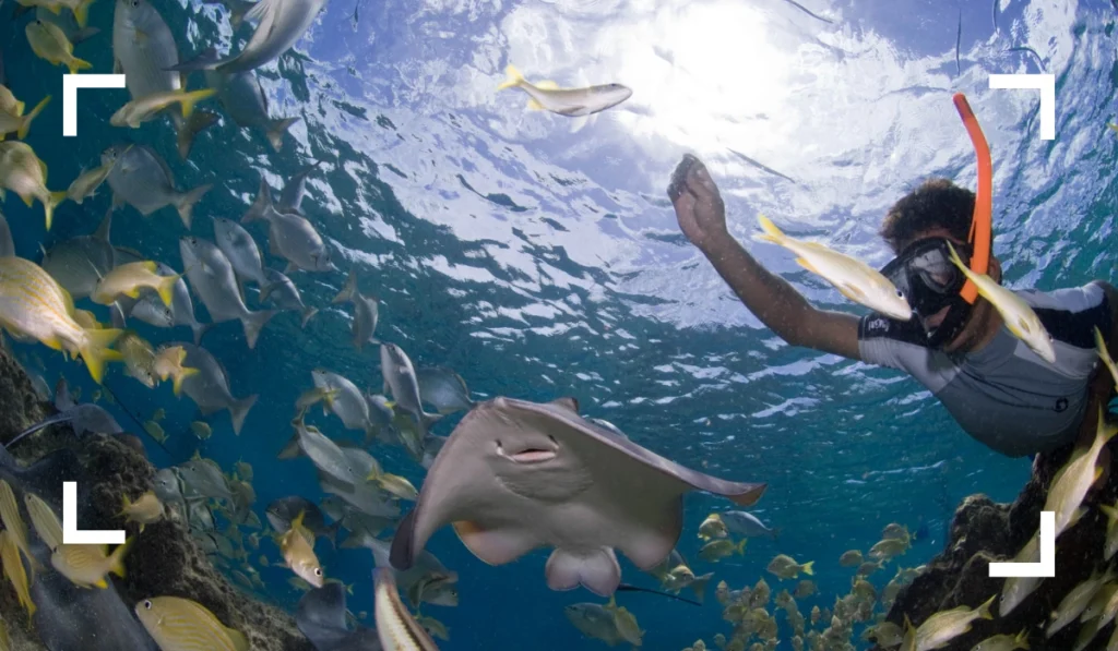 Wildlife Encounters in Cozumel Family Friendly Things to Do