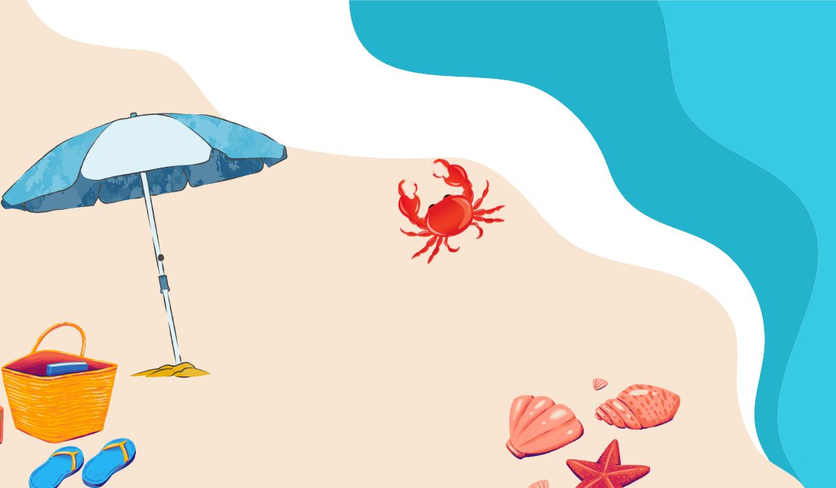 About cozumelvisit.com
