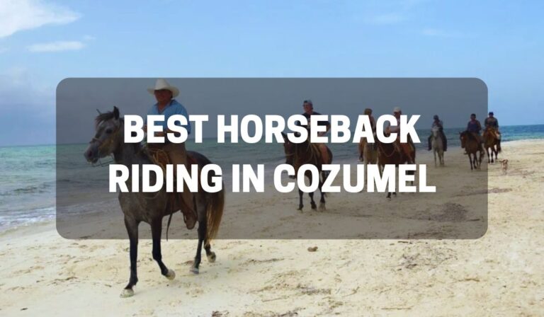 best horseback riding in cozumel