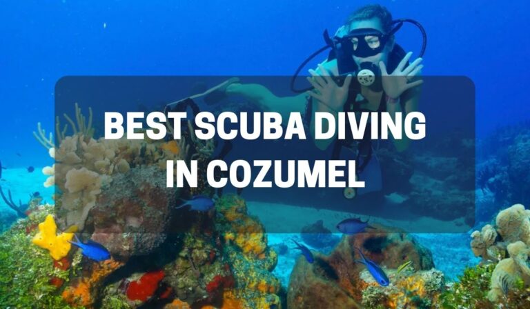 best scuba diving in cozumel
