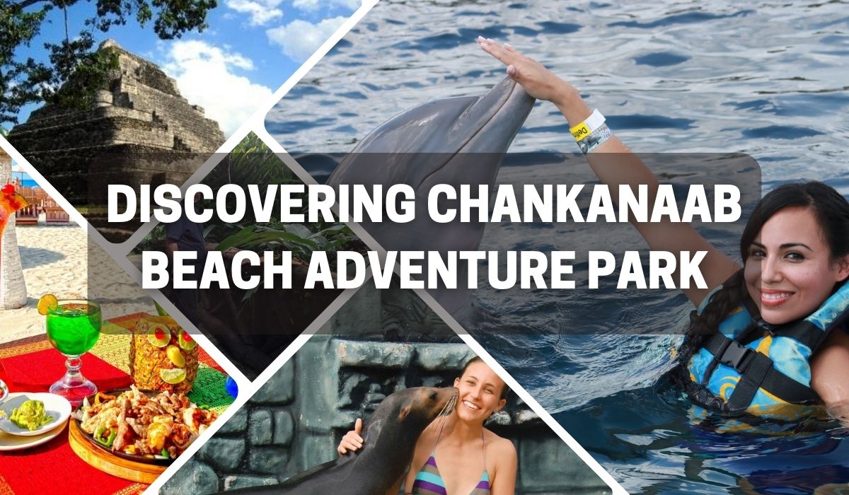 chankanaab beach adventure park cozumel