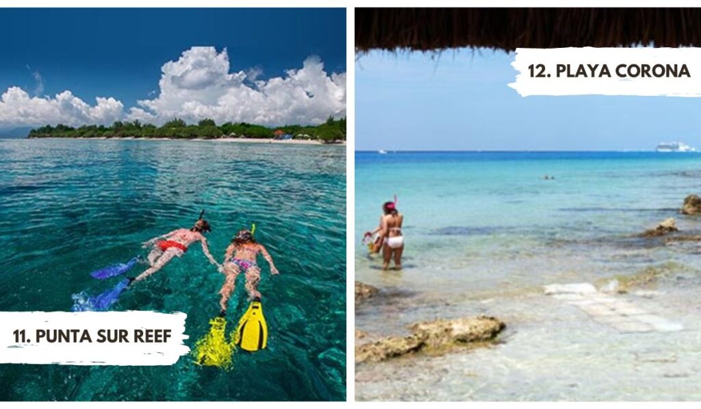 cheapest snorkeling in cozumel