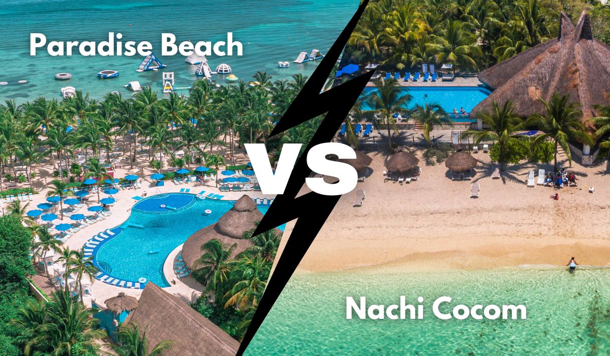 paradise beach vs nachi cocom