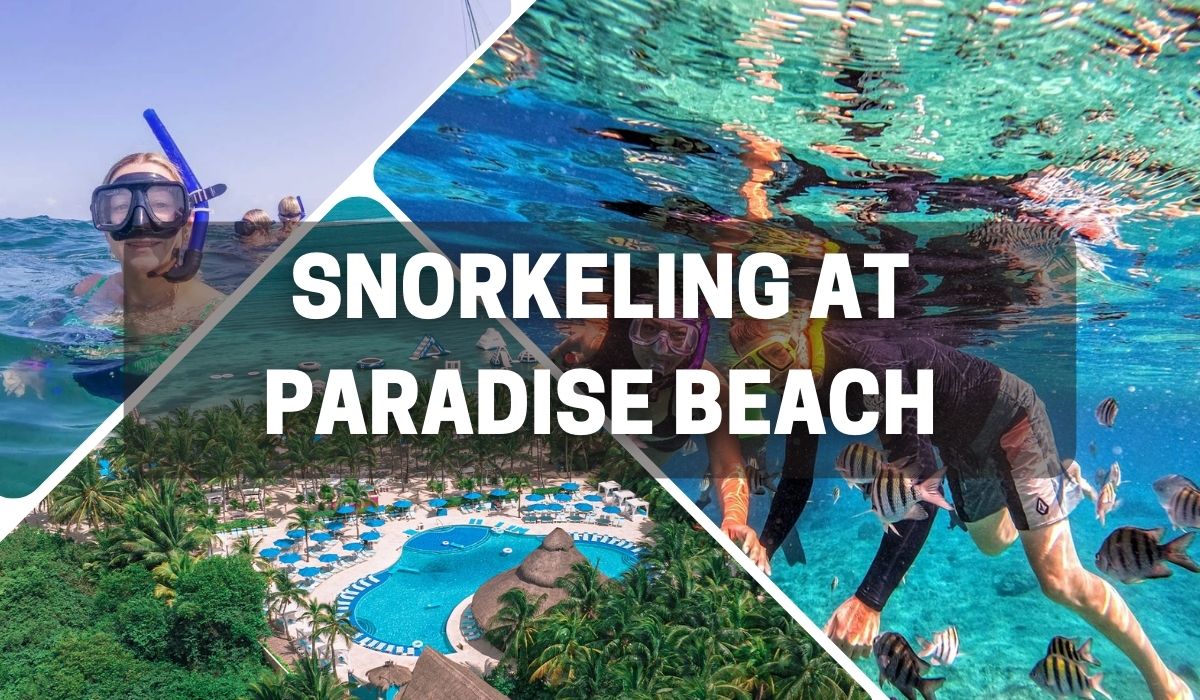 snorkeling at paradise beach cozumel