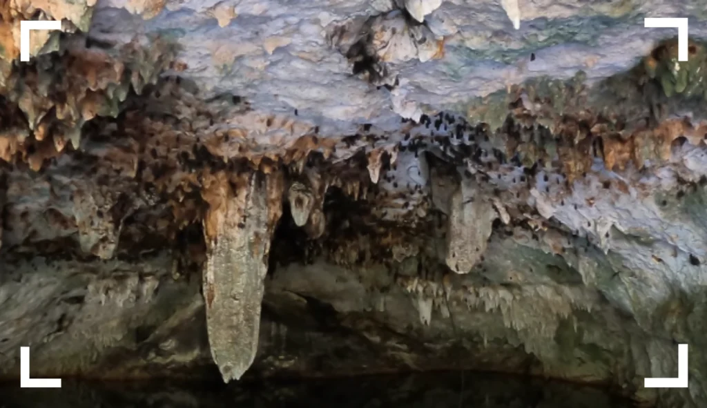 stalactites Jade Caverns