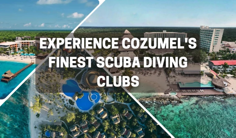 Best Scuba Diving Clubs In Cozumel