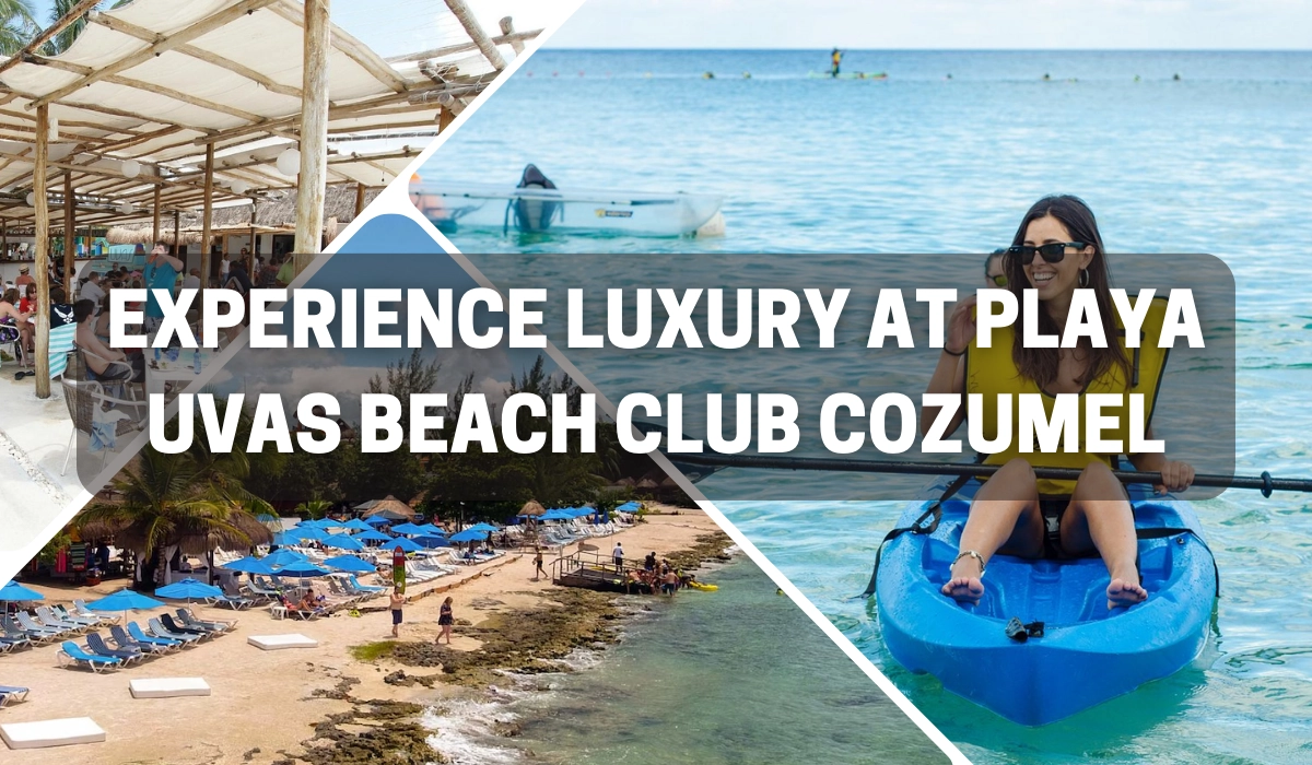 Experience Luxury at Playa Uvas Beach Club Cozumel