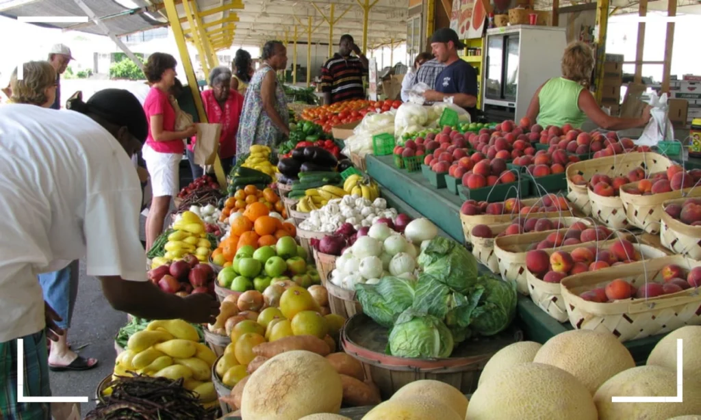 Grocery Shopping in Farmers Market Cozumel