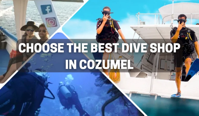 Best Dive Shops in Cozumel