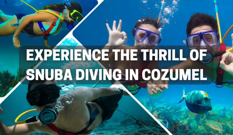 Snuba diving Cozumel Mexico