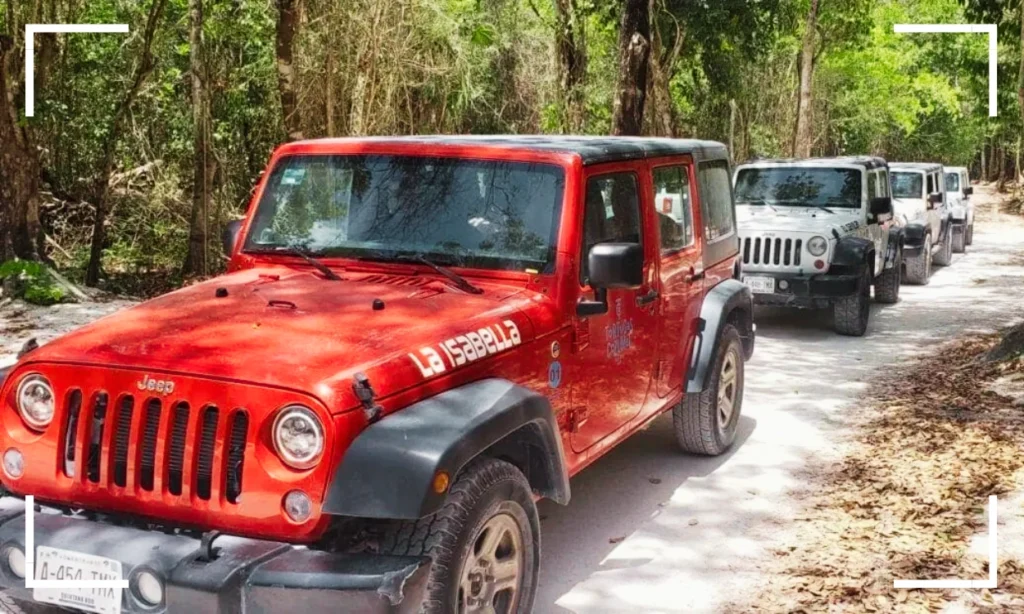 car or jeep rental at the Cozumel cruise port