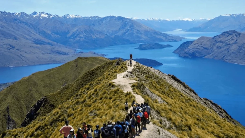 Hiking Trails in New Zealand for Eco-Conscious Travel