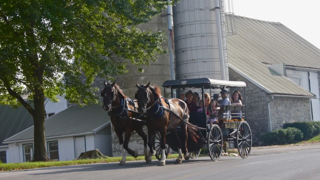 Outdoor Vacation with a Toddler in Amish Country, Pennsylvania – horse & buggy rides