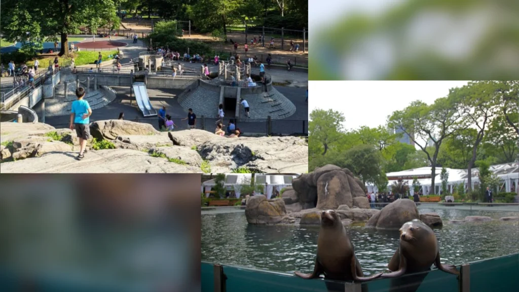 Outdoor Vacation with a Toddler in Central Park, New York City – Zoo + Playgrounds