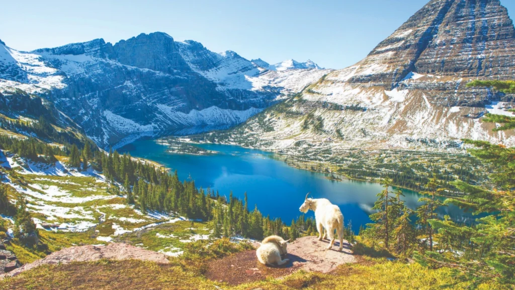 Outdoor Vacation with a Toddler in Glacier National Park, Montana – short trails & wildlife spotting