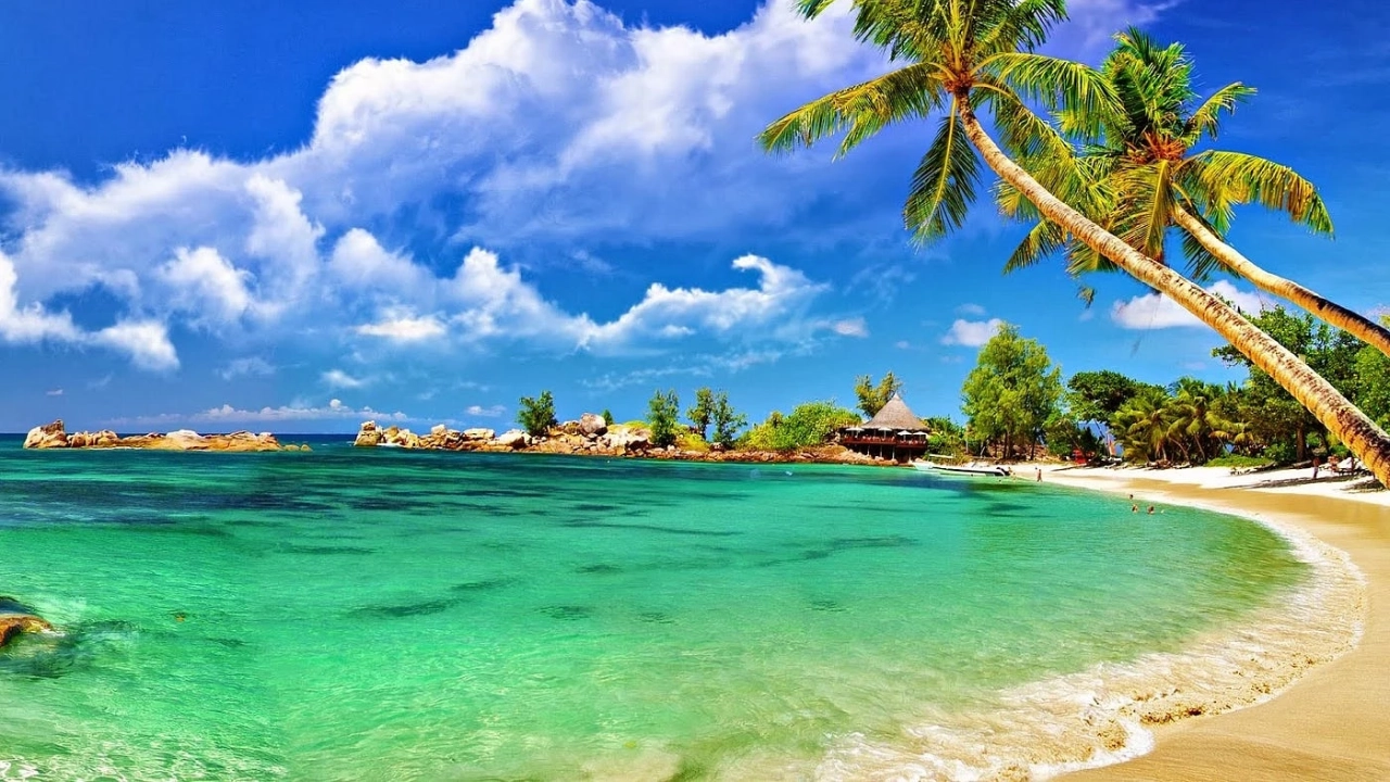 Summer Vacation in Andaman Islands – Tropical Beaches & Diving