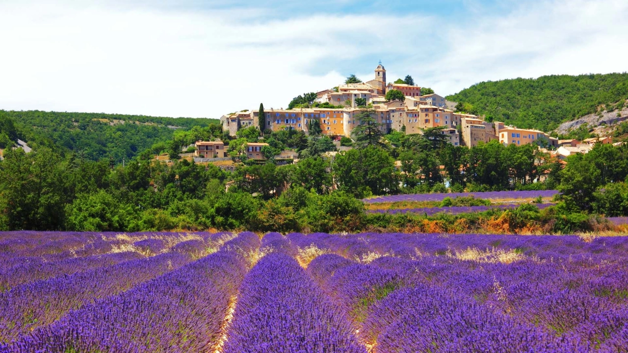 Summer Vacation in Provence – Lavender Fields & Countryside