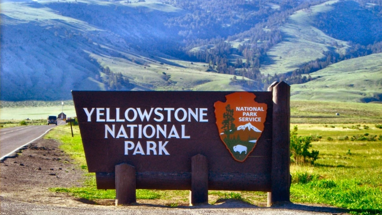 Summer Vacation in  Yellowstone National Park – Nature & Wildlife